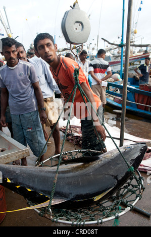 Sri Lanka après 25 ans de violence Banque D'Images