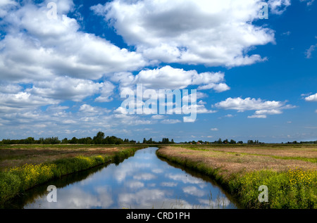 Reflets de ciel bleu avec des nuages dans le lac Banque D'Images