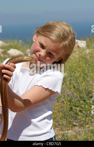 Verre européen lézard, lézard de verre blindé (Ophisaurus apodus, Pseudopus apodus), seul animal dans les mains d'une petite fille, Grèce Banque D'Images