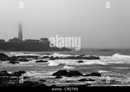 Près de brouillard cache le haut du phare de Pigeon Point mais pas les vagues sur la côte rocheuse ci-dessous. Banque D'Images