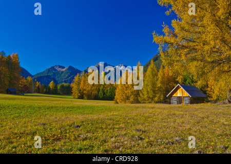 Atumn en paysage les Alpes de Lechtal, Autriche Banque D'Images