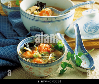 Soupe chaude et aigre de style Sichuan avec crevettes, poulet et champignons, ragoût copieux, Chine. Banque D'Images