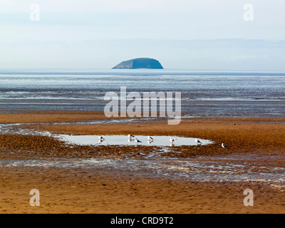 La plage à Weston Super Mare in North Somerset England UK avec l'île de Holm raide dans le chenal de Bristol visible au-delà Banque D'Images