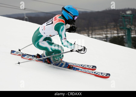 Une descente en neige skieur dans une course. Banque D'Images