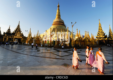 Les nonnes et les touristes, en face de la pagode Shwedagon à Yangon, Myanmar, Birmanie, Asie du Sud, Asie Banque D'Images