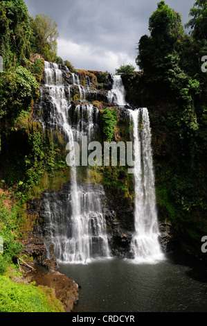 Grande cascade, Tad Yuang, Plateau des Bolavens, Laos, Asie du Sud, Asie Banque D'Images