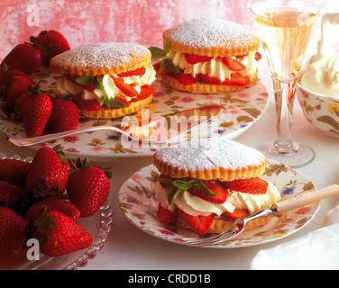 Tartelettes aux fraises fines, États-Unis. Banque D'Images