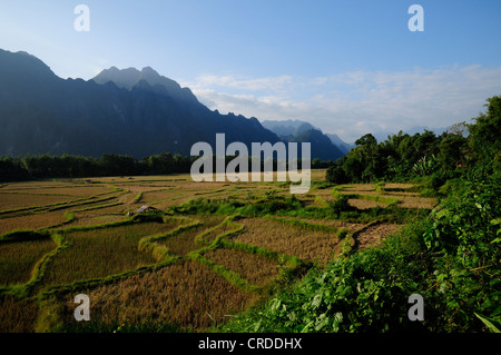 Rizières et montagnes karstiques dans l'est de Vang Vieng, Laos, Asie du Sud, Asie Banque D'Images