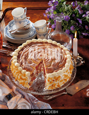 Gâteau aux fraises à la rhubarbe de style Odenwald, Allemagne. Banque D'Images