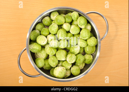 Le chou de Bruxelles (Brassica oleracea var. gemmifera), dans une casserole Banque D'Images