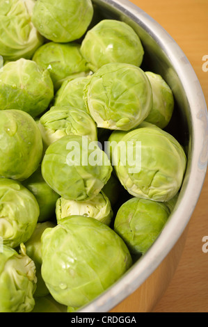 Le chou de Bruxelles (Brassica oleracea var. gemmifera), dans une casserole Banque D'Images