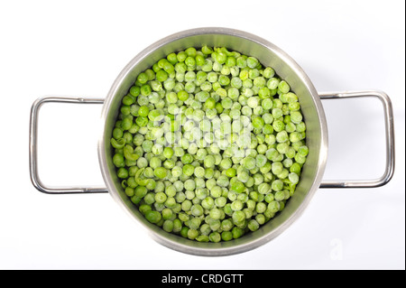 Petits pois surgelés dans une casserole Banque D'Images