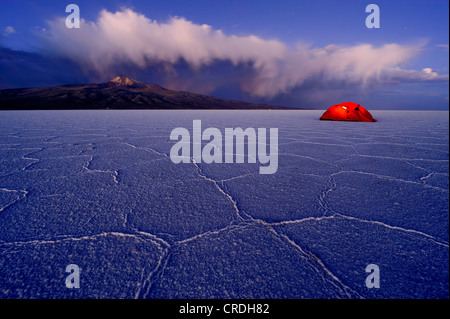 Salt Lake avec une tente au cours de l'heure bleue, Salar de Uyuni, Uyuni, Bolivie, Amérique du Sud Banque D'Images