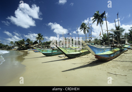 Bateaux de pêche sur la plage de sable de Dodanduwa, Sri Lanka Banque D'Images