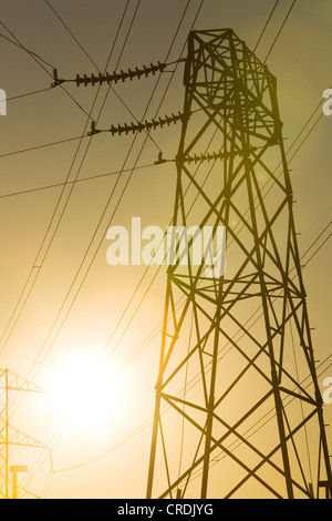 Pylône électrique haute tension dans le soleil du soir, American Canyon, Californie, USA Banque D'Images