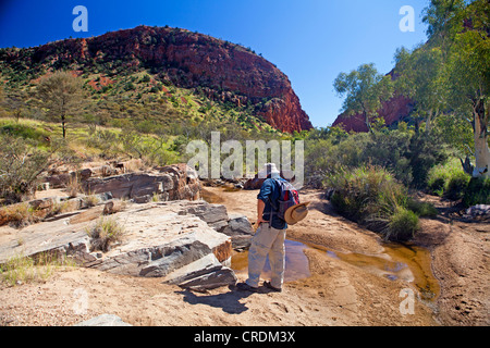 Bushwalker, près de l'entrée de Simpsons Gap dans les West MacDonnell Ranges Banque D'Images