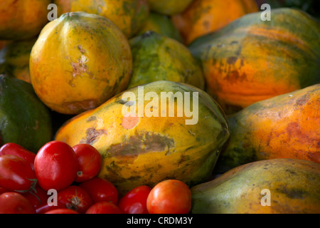 La papaye, papaye fermentée, paw paw, mamao, arbre melon (Carica papaya), et les tomates au marché, Cap Vert, Cabo Verde, Fogo, Sao Filipe Banque D'Images