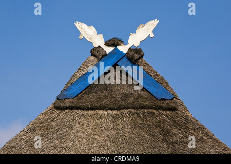 Gable avec du poisson dans un bâtiment au toit de chaume de la FLU-pêche et exploitation minière en Hoopte Stoef GBR, Winsen Luhe sur l Banque D'Images