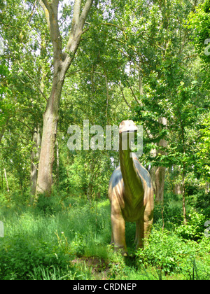 L'Apatosaurus Apatosaurus, Brontosaurus (, Brontosaure), portrait Banque D'Images