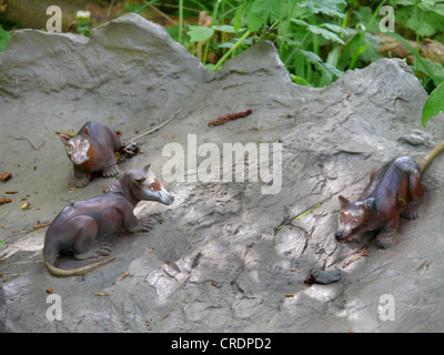 Purgatorius (Purgatorius), sur un crâne de dinosaure, un des plus vieux primates connus Banque D'Images
