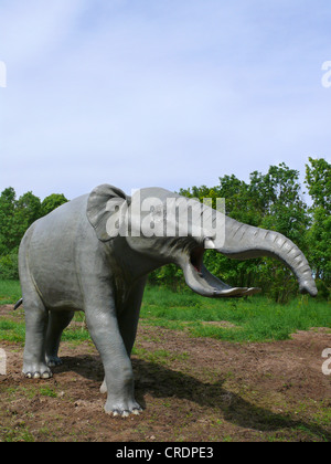 Platybelodon (Platybelodon), l'éléphant disparu primitiv Banque D'Images