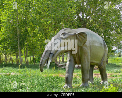 Gomphotherium (Gomphotherium), l'éléphant disparu primitiv Banque D'Images