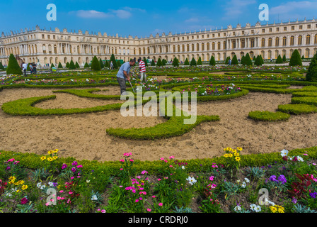 Paris, France, le château de Versailles, château, jardins à la française de Versailles Banque D'Images