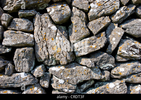 Mur de pierres recueillies, l'Irlande, les îles d'Aran, Inisheer Banque D'Images