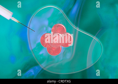 L'insémination artificielle, l'illustration scientifique Banque D'Images
