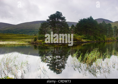 Paysage irlandais avec le lac, l'Irlande, Kerrysdale, Parc Gleninchaquin Banque D'Images