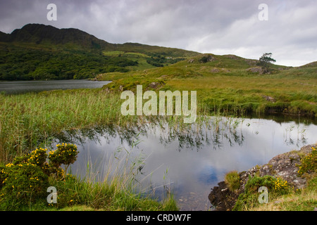 Paysage irlandais avec le lac, l'Irlande, Kerrysdale, Parc Gleninchaquin Banque D'Images