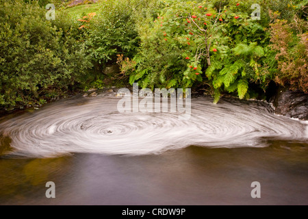 En tourbillons Brook, l'Irlande, Kerrysdale, Parc Gleninchaquin Banque D'Images