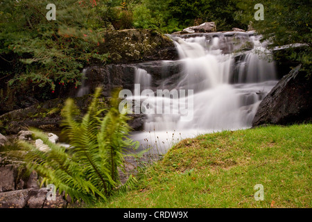 Cascades dans un ruisseau sauvage, l'Irlande, Kerrysdale, Parc Gleninchaquin Banque D'Images