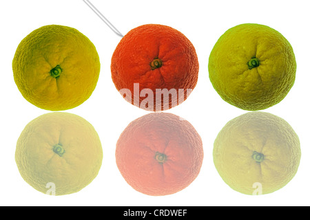 Une seringue d'injection d'un orange de couleur orange, jaune-vert des oranges de chaque côté Banque D'Images