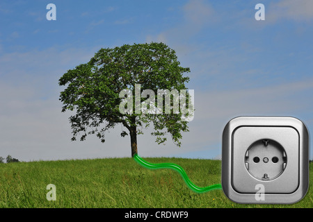 Prairie avec arbre et d'une prise de courant reliée par un fil vert Banque D'Images