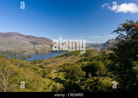 Ladies view, le Parc National de Killarney, Irlande, Killarney, Kerrysdale Nationalpark Banque D'Images