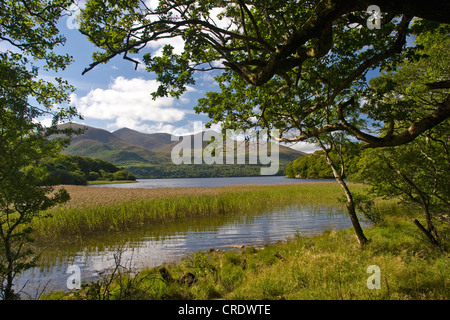 Lough Leane, le Parc National de Killarney, Irlande, Killarney, Kerrysdale Nationalpark Banque D'Images