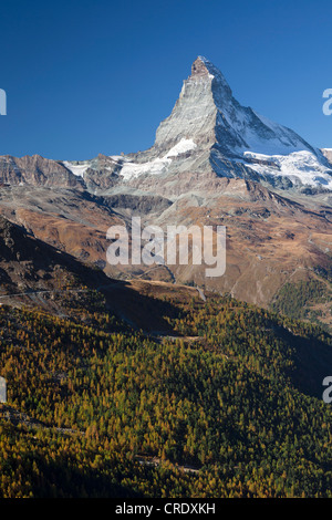 Tôt le matin près du lac Stellisee avec vue sur le Mt Matterhorn, Zermatt, Valais, Alpes Suisses, Suisse, Europe, PublicGround Banque D'Images