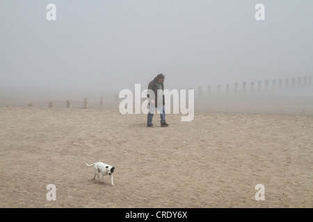 Man Walking dog sur la plage dans la brume. Banque D'Images