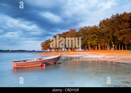 Soirée ambiance avec une forêt de pins sur le lido de Dingelsdorf, sur le lac de Constance, Bade-Wurtemberg, PublicGround Banque D'Images