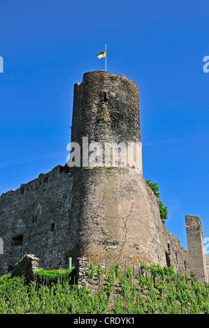 Ruines du château de Burg Landshut, Bernkastel-Kues, Rhénanie-Palatinat, Allemagne, Europe Banque D'Images