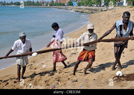 En tirant dans un filet de pêcheurs sur une plage à Galle, au Sri Lanka, à Ceylan, en Asie du Sud, Asie Banque D'Images