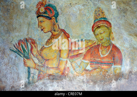 Cloud maidens, fresque sur mur de cave, 5ème siècle, Lion Rock, Rock fortress, UNESCO World Heritage site, Sigiriya, Sri Lanka, Asie Banque D'Images