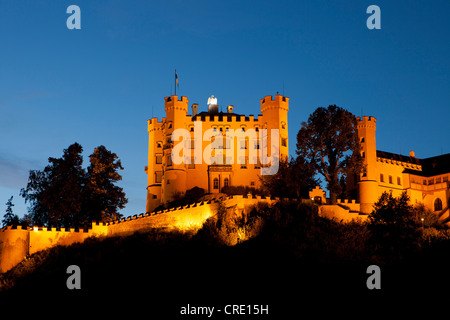 Schloss Hohenschwangau, Allgaeu, Bavaria, Germany, Europe Banque D'Images