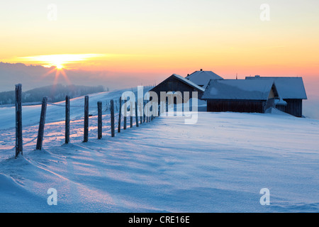 L'humeur du soir sur l'alpage, Hochalp hiver dans les Alpes suisses, l'éventail de l'Alpstein avec Mt. Saentis, Suisse, Europe Banque D'Images