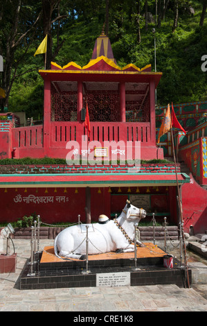 L'hindouisme, Nandi bull, Temple Hindou, Kirateshwar Legship Mahadev Temple, à l'Ouest, le Sikkim, Himalaya, Inde, Asie du Sud, Asie Banque D'Images