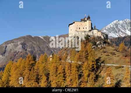 Château de Tarasp, entouré par une forêt de mélèzes aux couleurs de l'automne, Scuol, Basse Engadine, Grisons, Suisse, Europe Banque D'Images