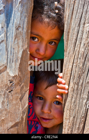 Deux jeunes garçons sur un écart par curieusement dans un mur en bois, Moyen Atlas, Maroc, Afrique Banque D'Images