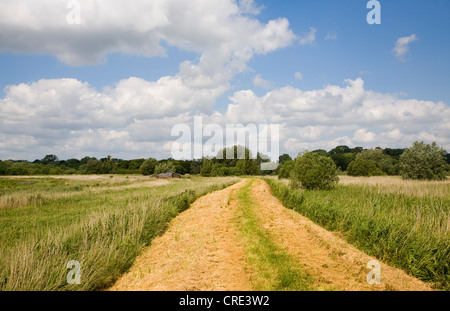 Chemin Riverside Château moulin et marais de plaine inondable de la rivière Waveney, près de Barnby, Suffolk, Angleterre Banque D'Images