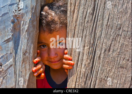 Jeune garçon à la recherche d'un écart en curieusement un mur en bois, Moyen Atlas, Maroc, Afrique Banque D'Images